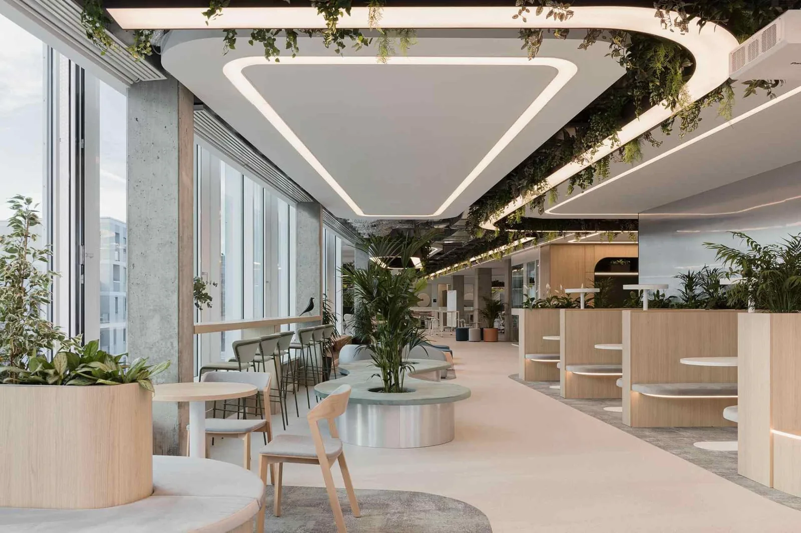 Arcave completed office interior fitout, Abu Dhabi